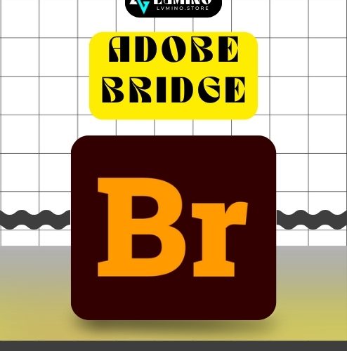 Adobe Bridge